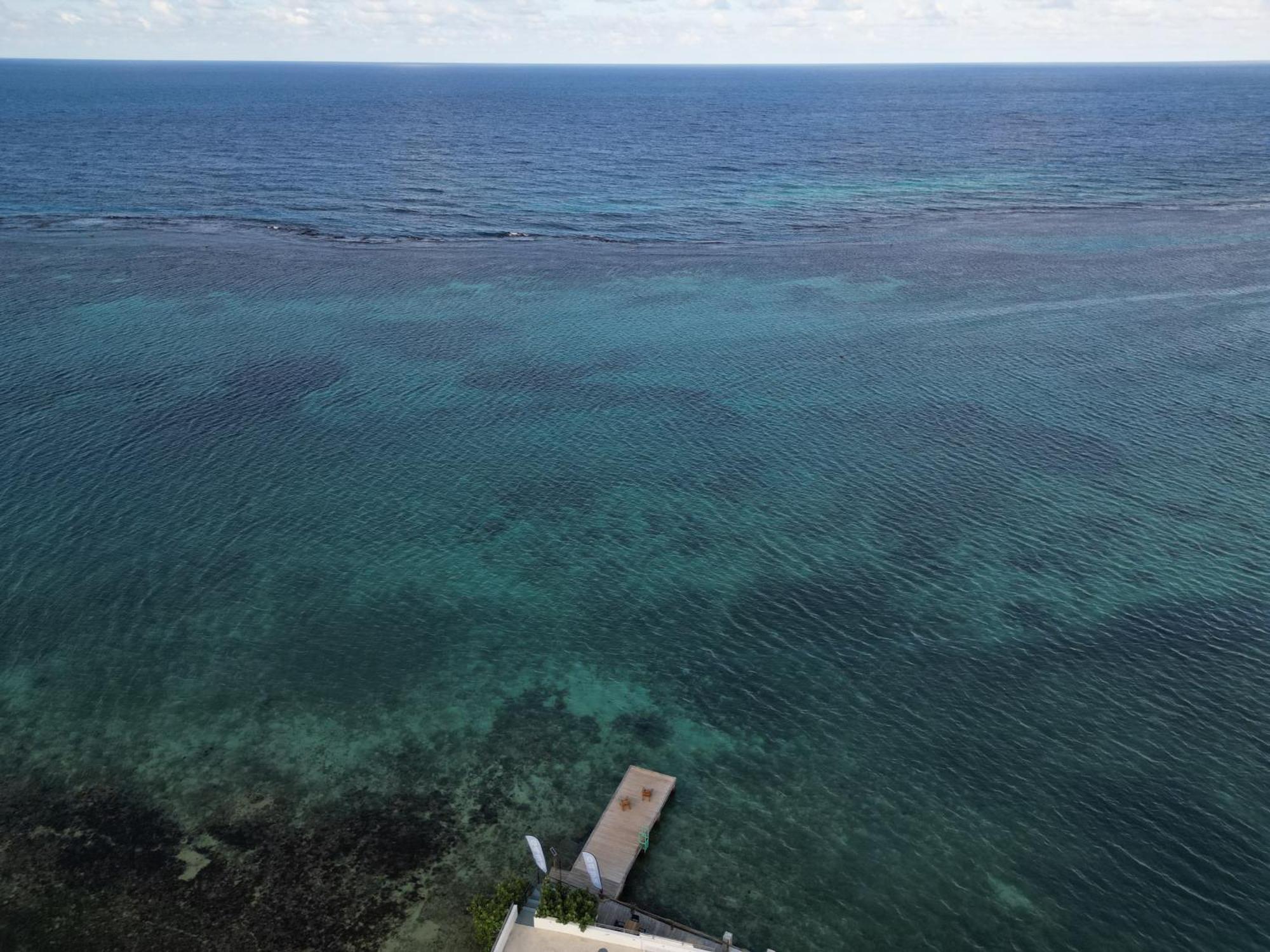 Hotel Ocean Palms Ocho Rios Exterior foto